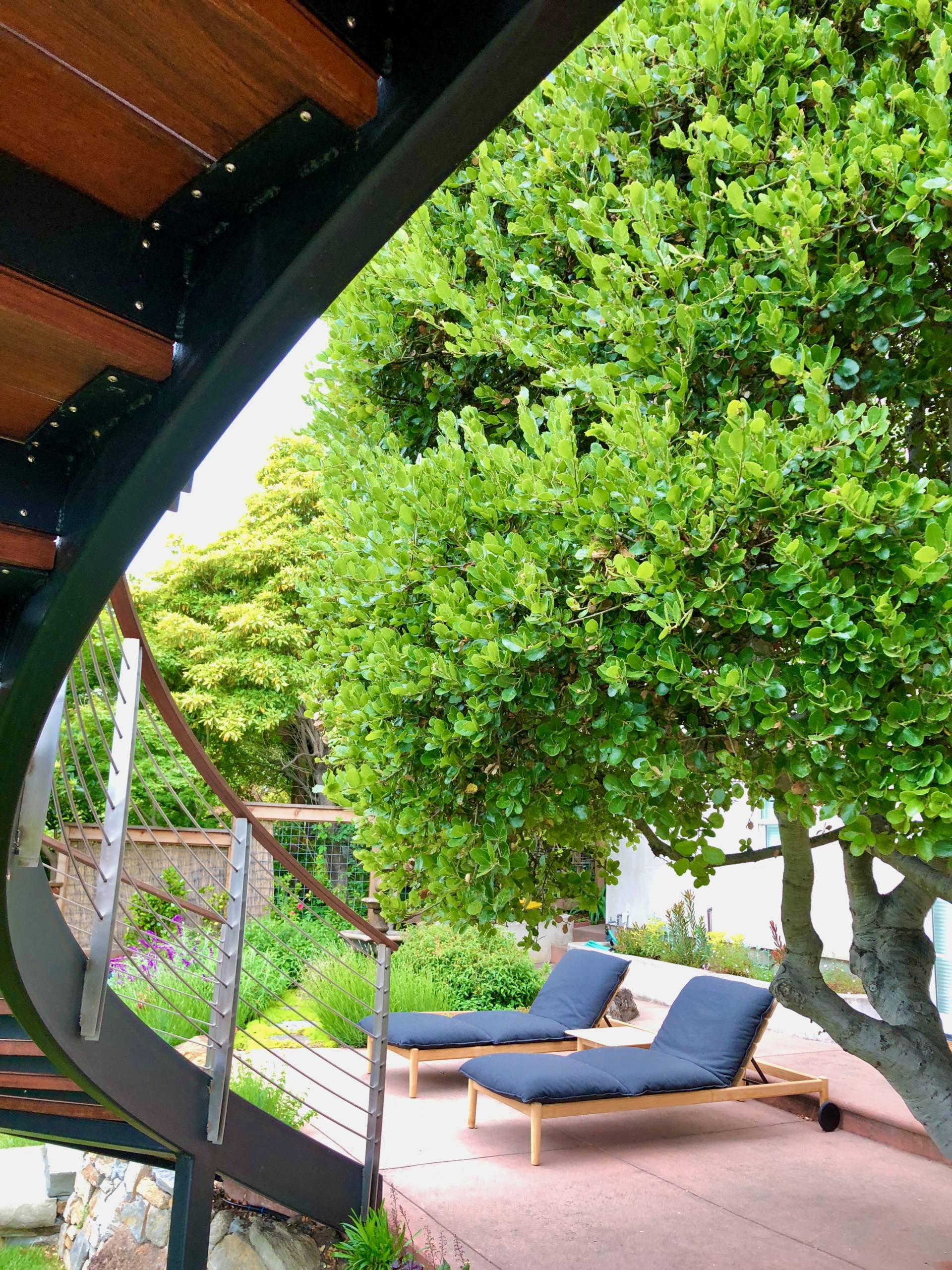 Berkeley, CA home remodel including new kitchen, laundry, and stunning new deck with spiral staircase